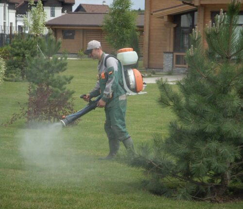 Защита растений