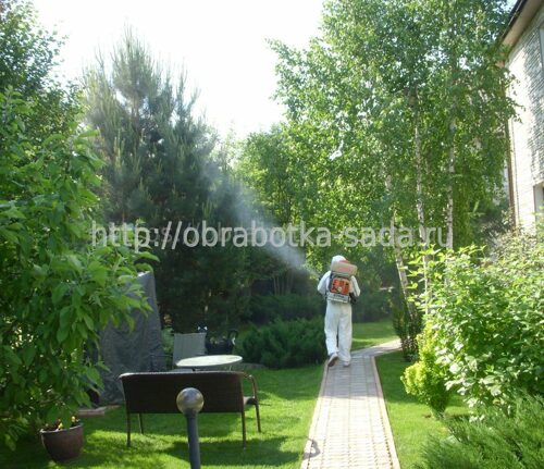 Защита растений