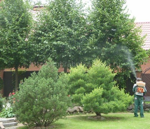 Защита растений