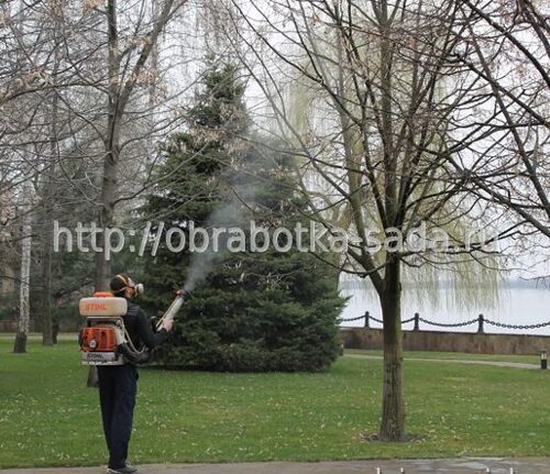 Защита растений