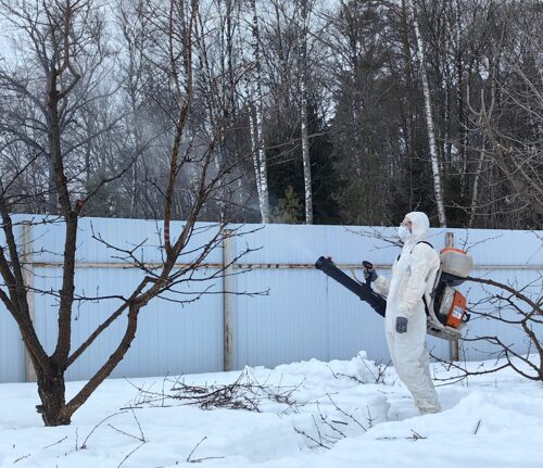 Защита растений